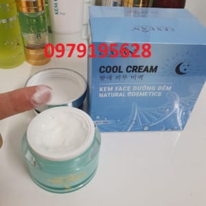 Kem face dưỡng da ban đêm Lê Xuân